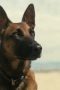 Nonton Film Fallout Season 1 Episode 7 Terbaru Nonton Film Fallout Season 1 Episode 7 Terbaru